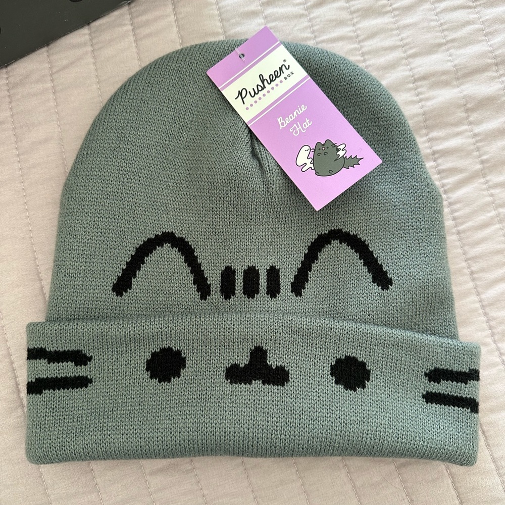 Pusheen Beanie from Pusheen Box
